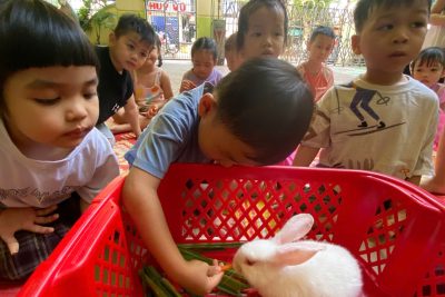 Hoạt động quan sát và trò chuyện ” Con thỏ” của lớp mầm A.